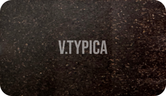 V.TYPICA.png